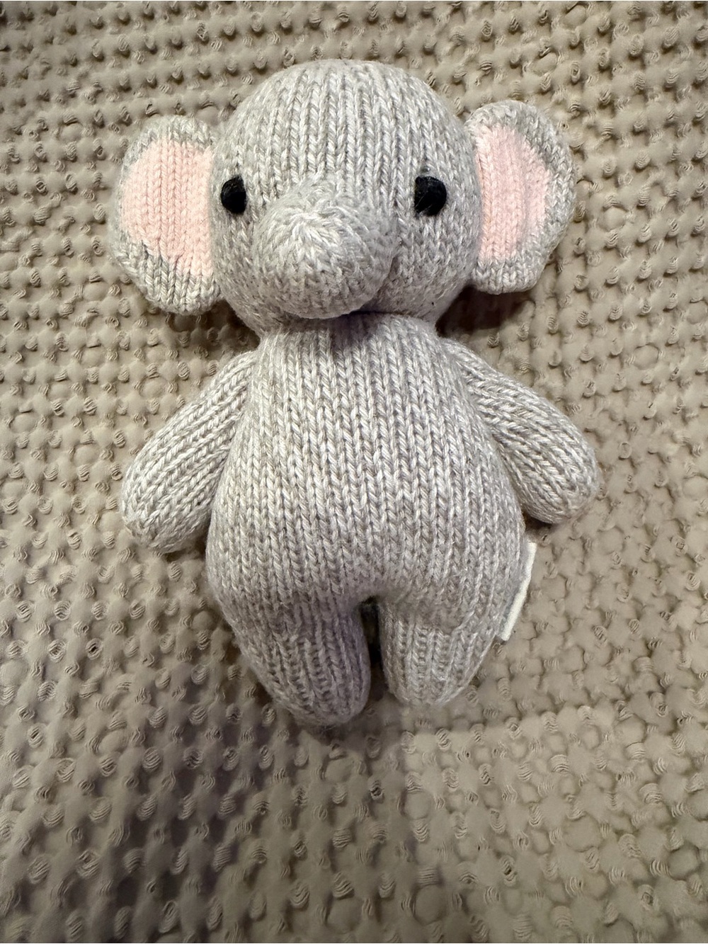 Cuddle + Kind Baby Elephant